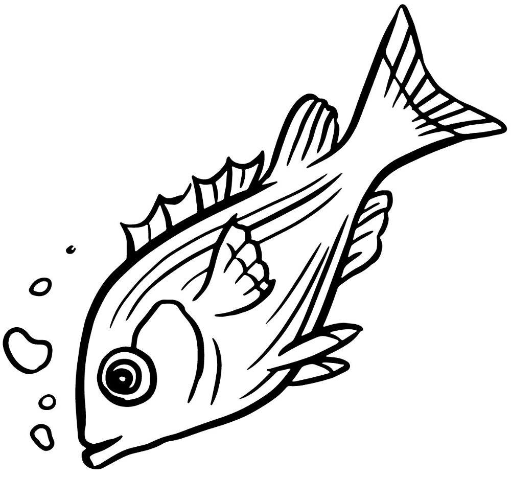 Desenho de Desenhos de Animais Marinhos para Colorir para colorir e imprimir: número 34