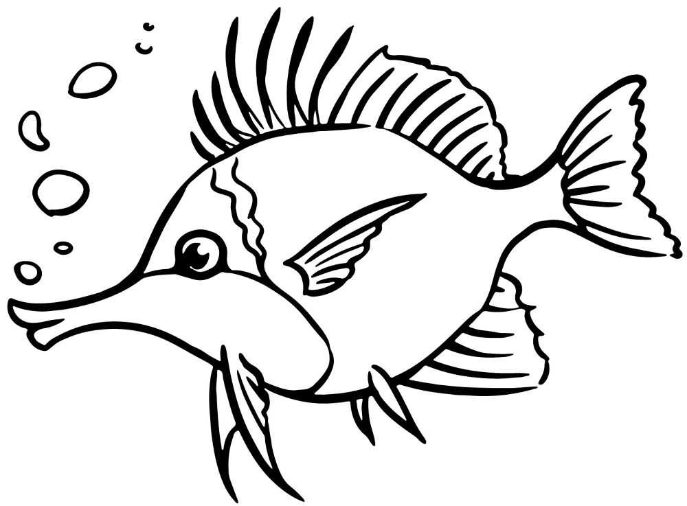 Desenho de Desenhos de Animais Marinhos para Colorir para colorir e imprimir: número 37
