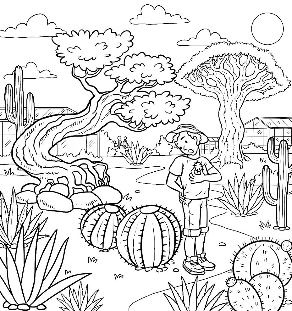 Desenho de Deserto para colorir e imprimir: número 1