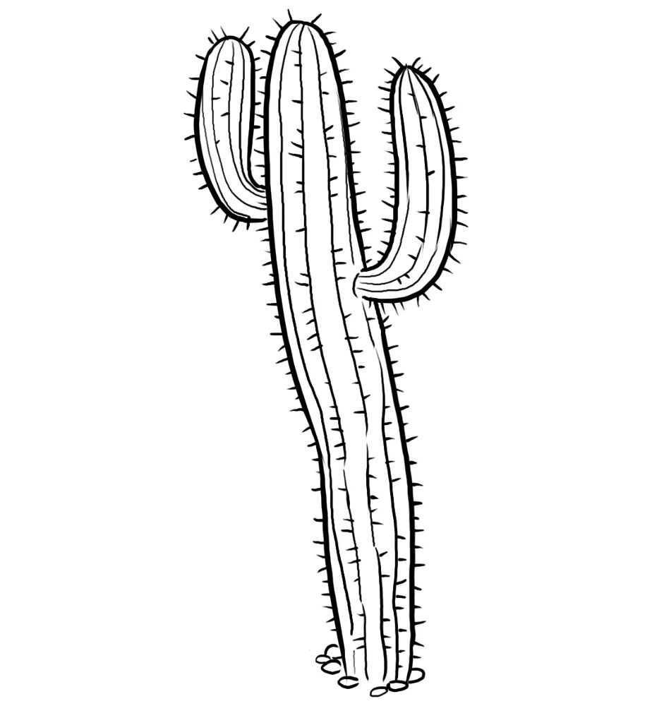 Desenho de Deserto para colorir e imprimir: número 2