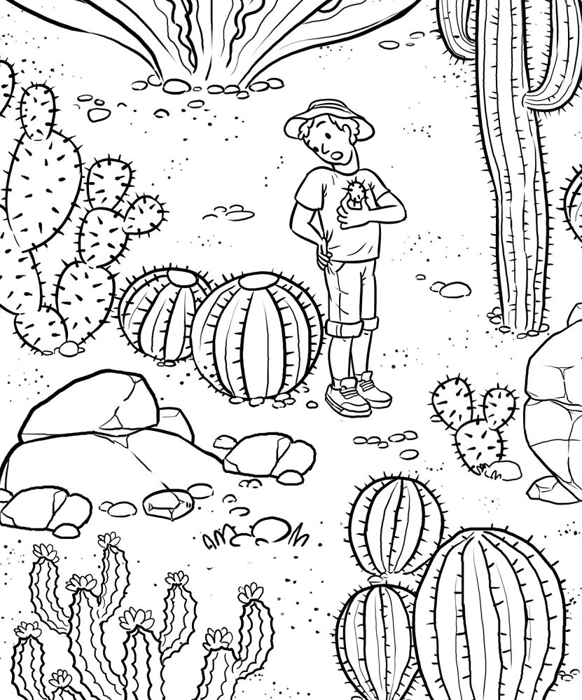 Desenho de Deserto para colorir e imprimir: número 3