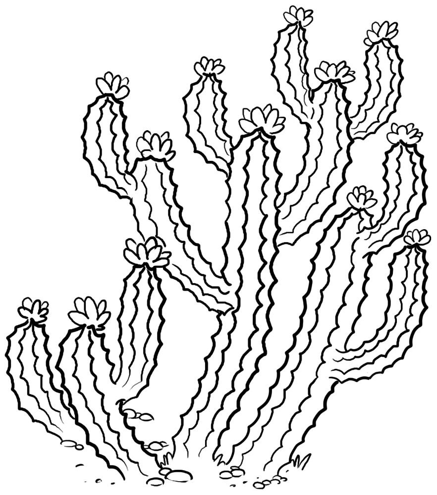 Desenho de Deserto para colorir e imprimir: número 4