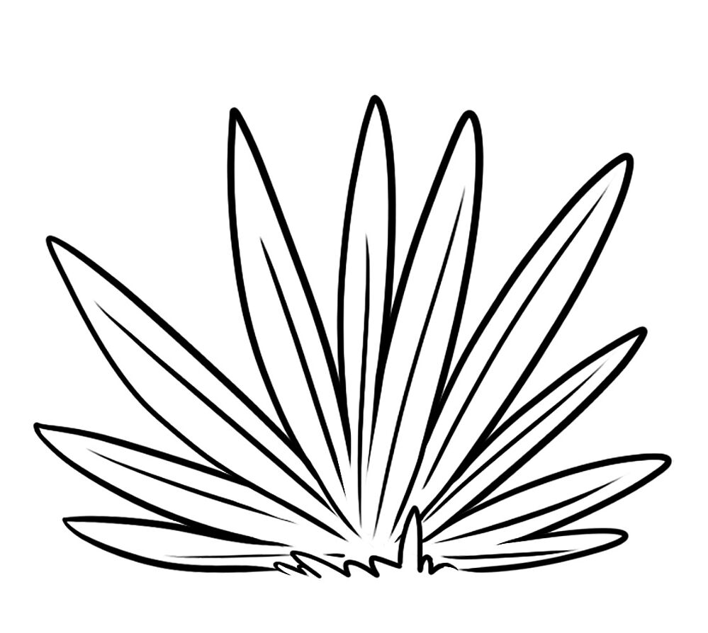 Desenho de Deserto para colorir e imprimir: número 5