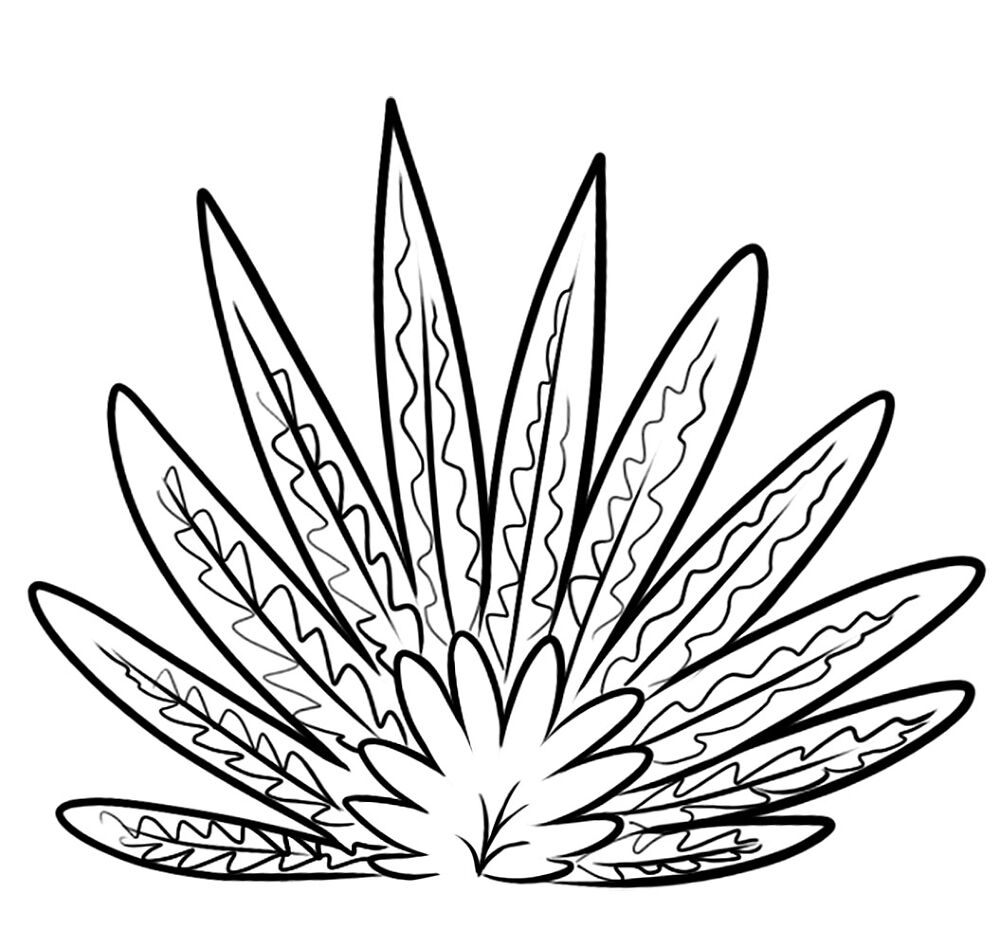 Desenho de Deserto para colorir e imprimir: número 9