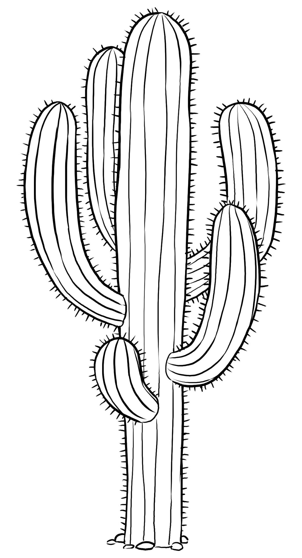 Desenho de Deserto para colorir e imprimir: número 15