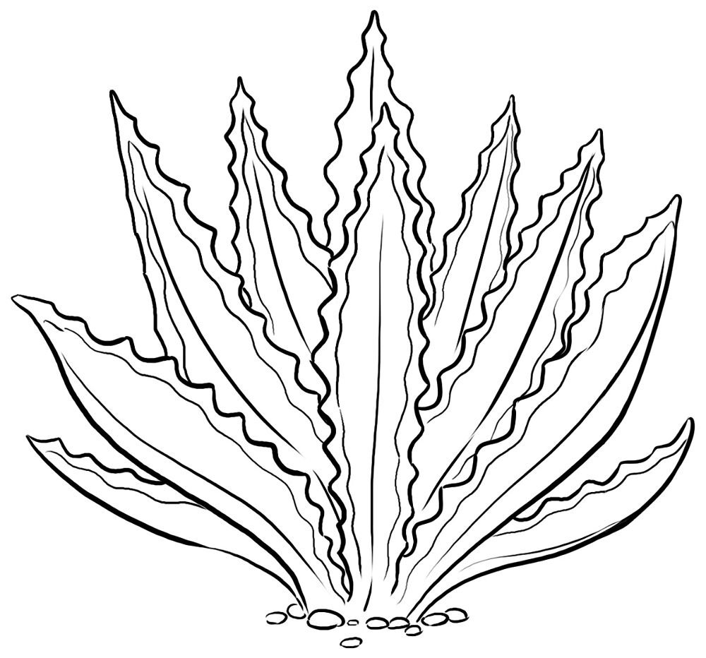 Desenho de Deserto para colorir e imprimir: número 21