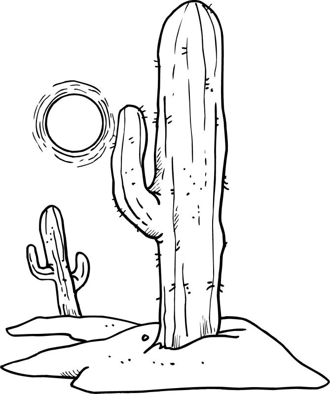 Desenho de Deserto para colorir e imprimir: número 43