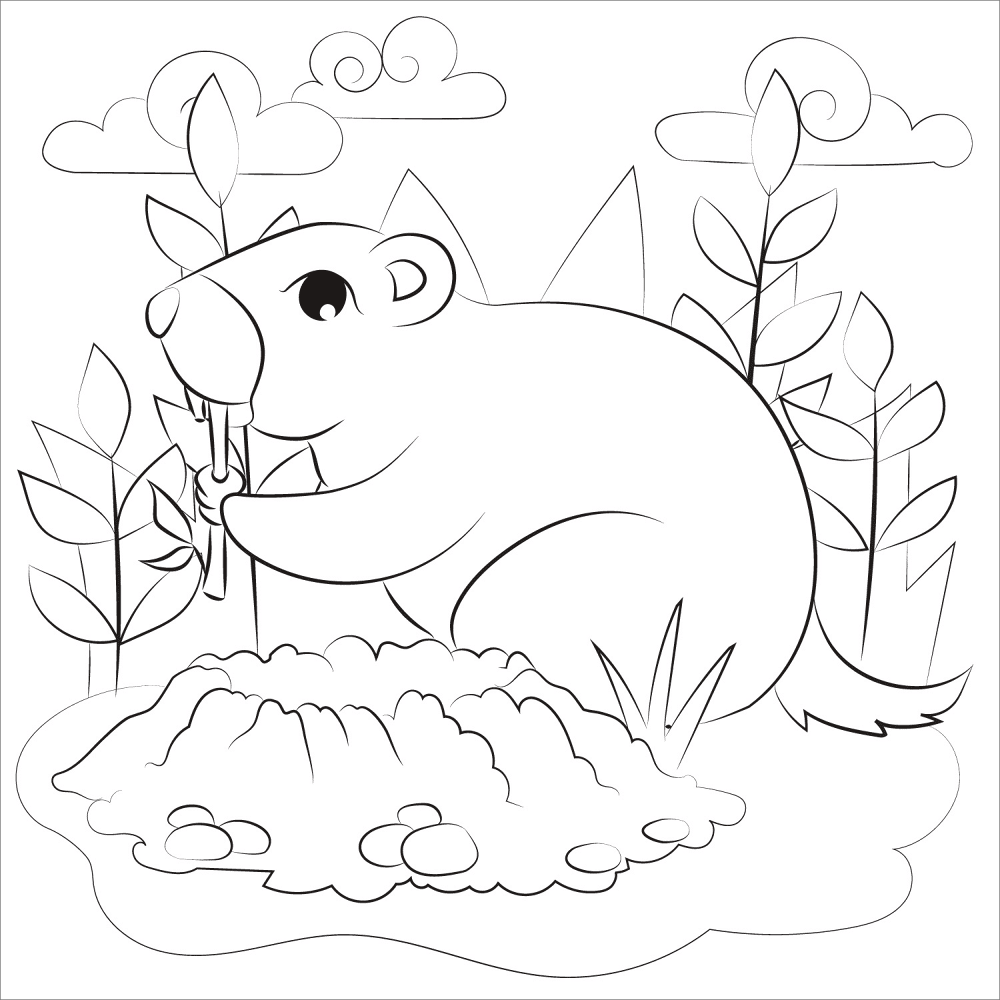 Desenho de Dia Da Marmota para colorir e imprimir: número 1