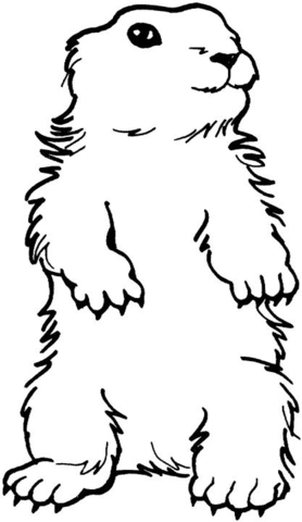Desenho de Dia Da Marmota para colorir e imprimir: número 5