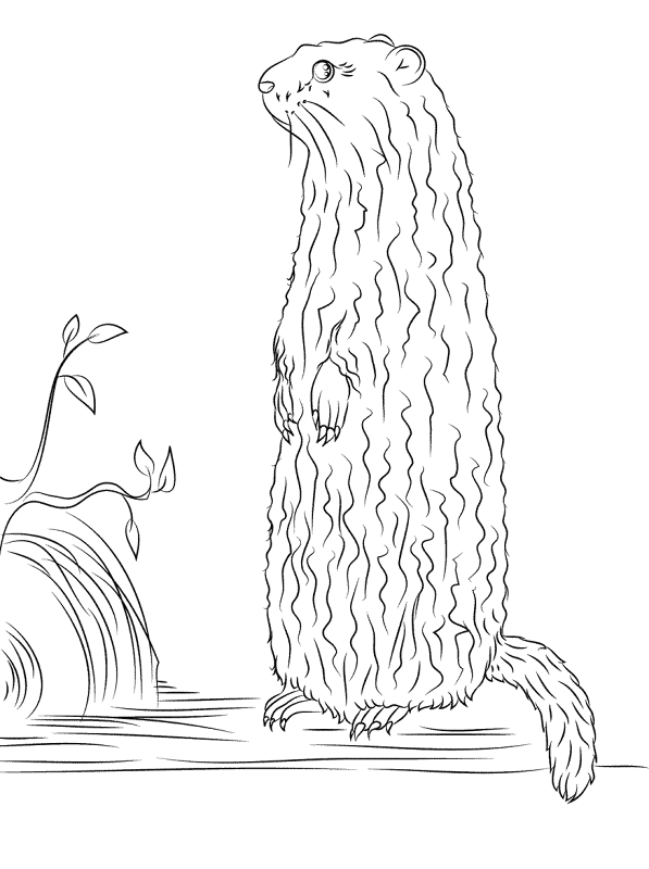 Desenho de Dia Da Marmota para colorir e imprimir: número 11