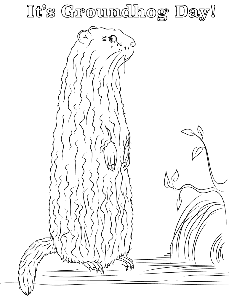 Desenho de Dia Da Marmota para colorir e imprimir: número 14
