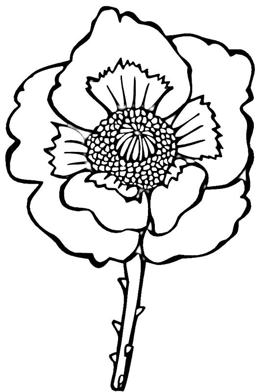 Desenho de Dia Do Armistício para colorir e imprimir: número 11