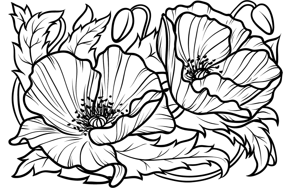 Desenho de Dia Do Armistício para colorir e imprimir: número 13