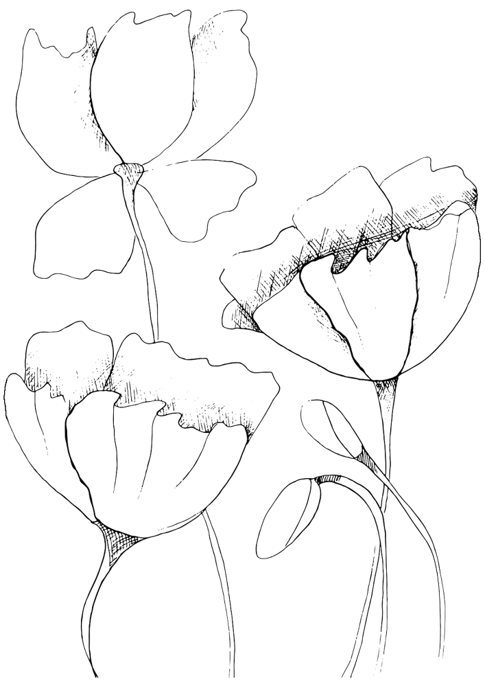 Desenho de Dia Do Armistício para colorir e imprimir: número 14