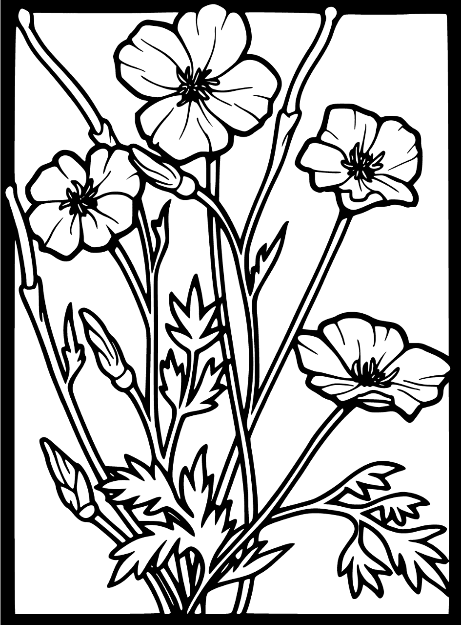 Desenho de Dia Do Armistício para colorir e imprimir: número 16