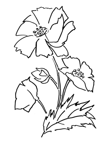 Desenho de Dia Do Armistício para colorir e imprimir: número 18