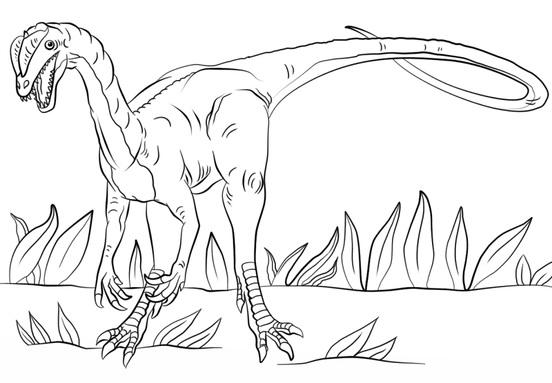 Desenho de Dilofossauro para colorir e imprimir: número 5