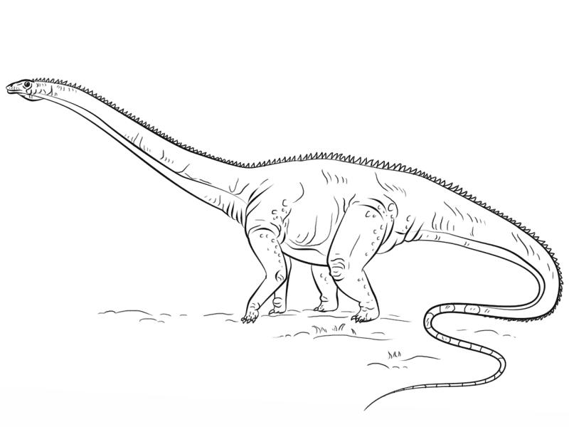 Desenho de Diplodoco para colorir e imprimir: número 1