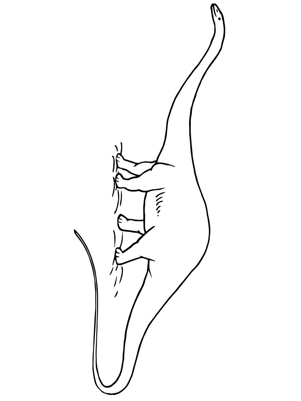 Desenho de Diplodoco para colorir e imprimir: número 3