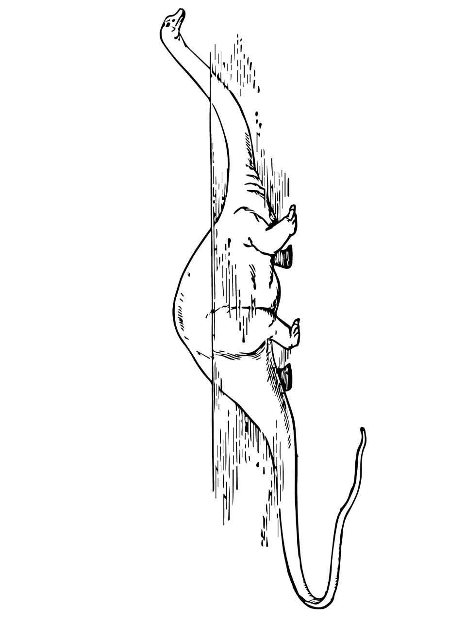 Desenho de Diplodoco para colorir e imprimir: número 12