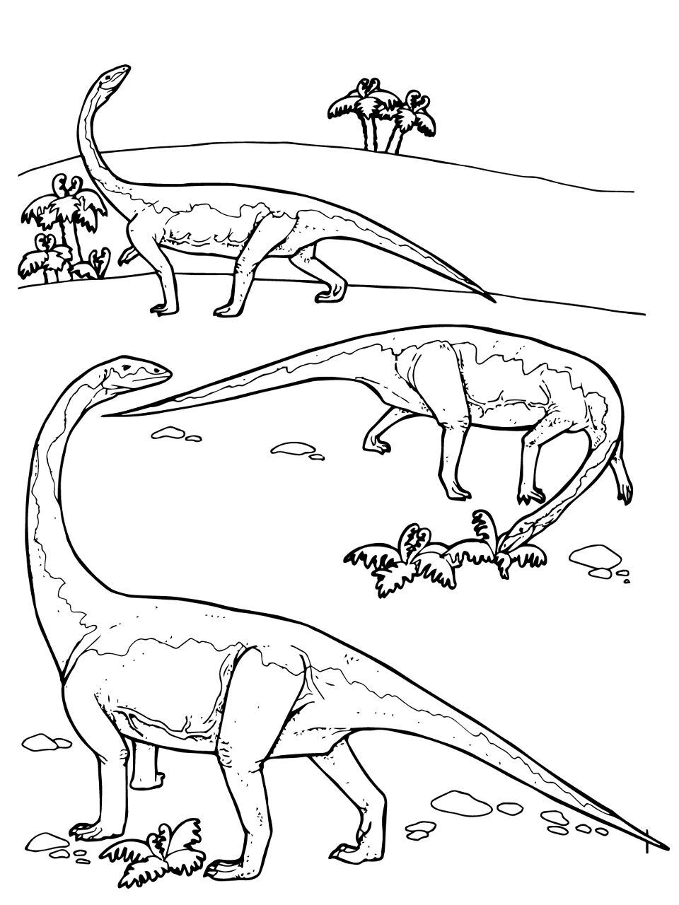 Desenho de Diplodoco para colorir e imprimir: número 13
