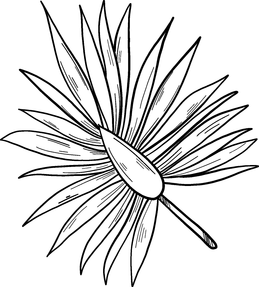 Desenho de Domingo De Ramos para colorir e imprimir: número 6