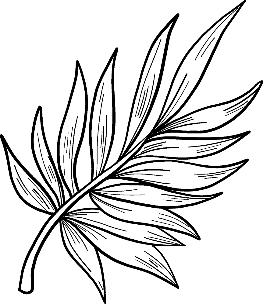 Desenho de Domingo De Ramos para colorir e imprimir: número 7