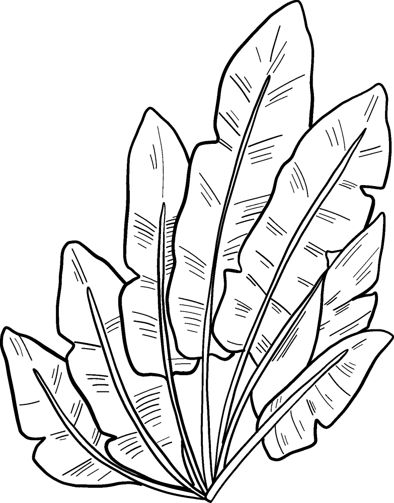 Desenho de Domingo De Ramos para colorir e imprimir: número 9
