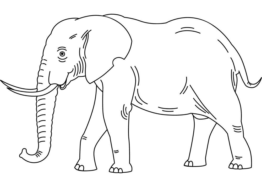 Desenho de Elefantes para colorir e imprimir: número 9