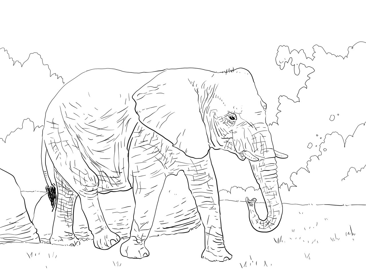 Desenho de Elefantes para colorir e imprimir: número 26