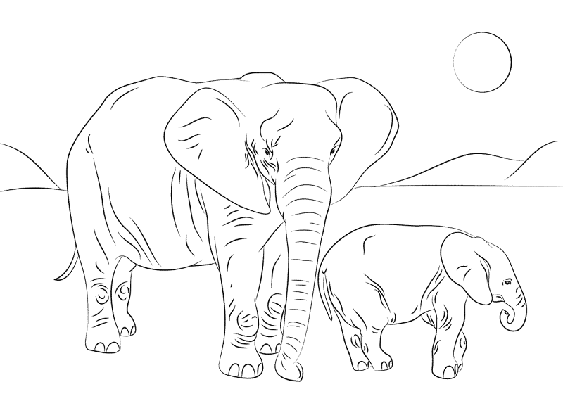 Desenho de Elefantes para colorir e imprimir: número 29