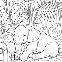 Desenho de Elefantes para colorir