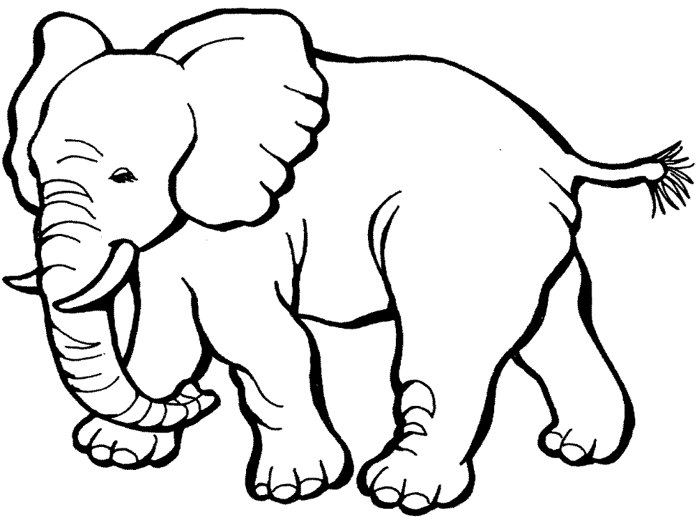 Desenho de Elefantes para colorir