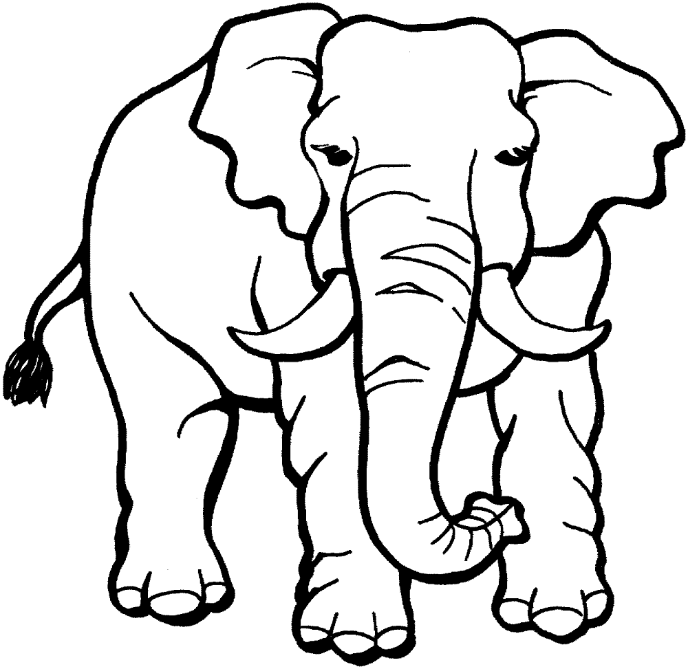 Desenho de Elefantes para colorir