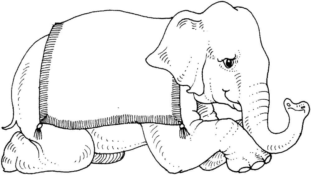 Desenho de Elefantes para colorir