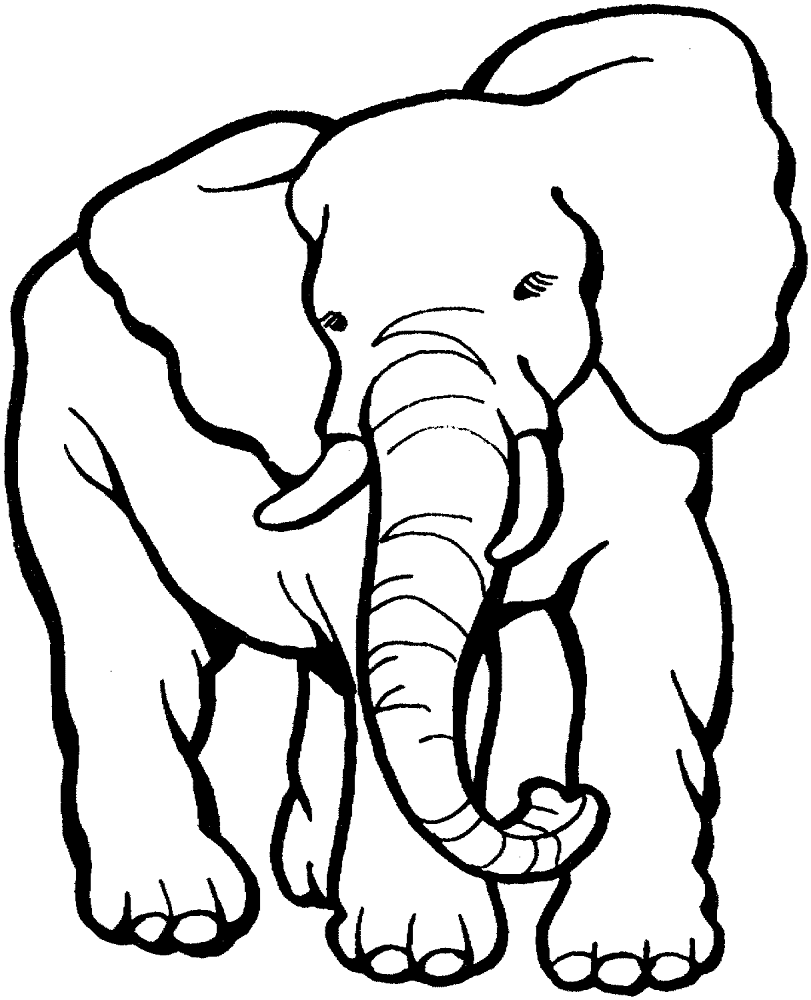 Desenho de Elefantes para colorir