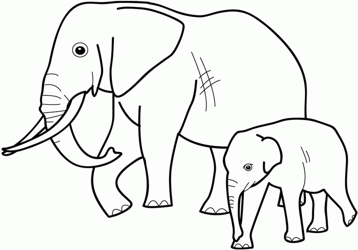 Desenho de Elefantes para colorir