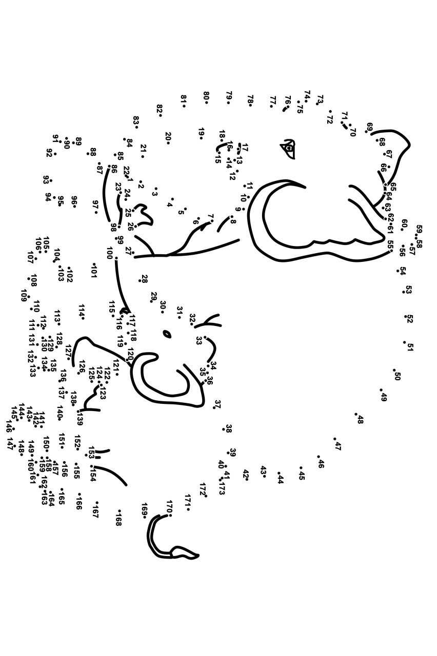 Desenho de Elefantes para colorir