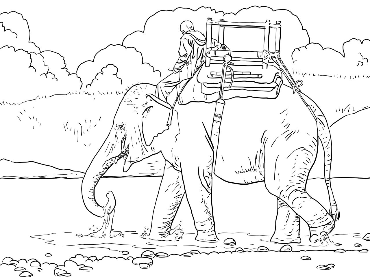 Desenho de Elefantes para colorir