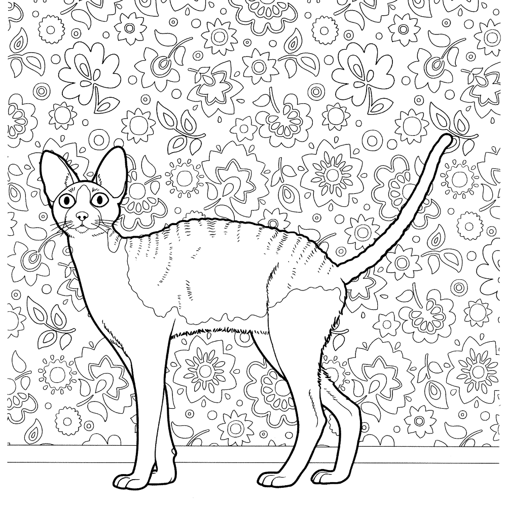 Desenho de Elegante para colorir e imprimir: número 9
