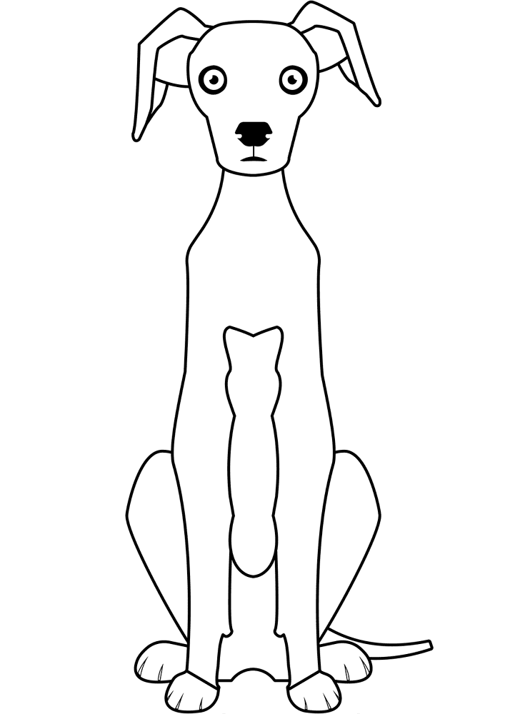 Desenho de Elegante para colorir e imprimir: número 19