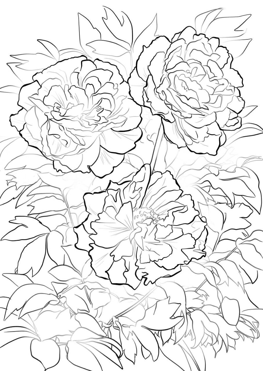Desenho de Elegante para colorir e imprimir: número 32