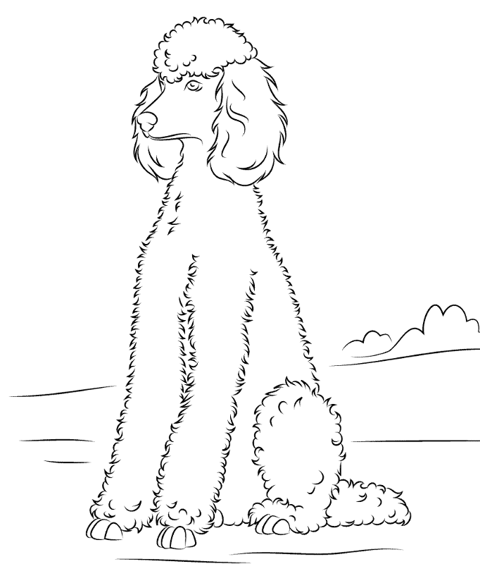 Desenho de Elegante para colorir e imprimir: número 34