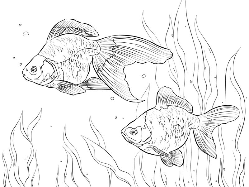 Desenho de Elegante para colorir e imprimir: número 38