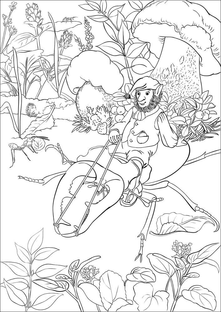 Desenho de Encantada para colorir e imprimir: número 45