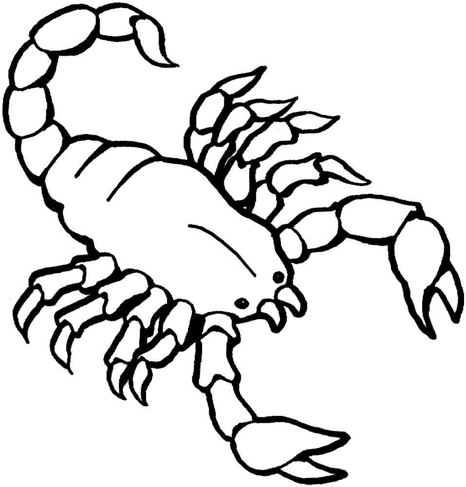 Desenho de Escorpiões para colorir e imprimir: número 25