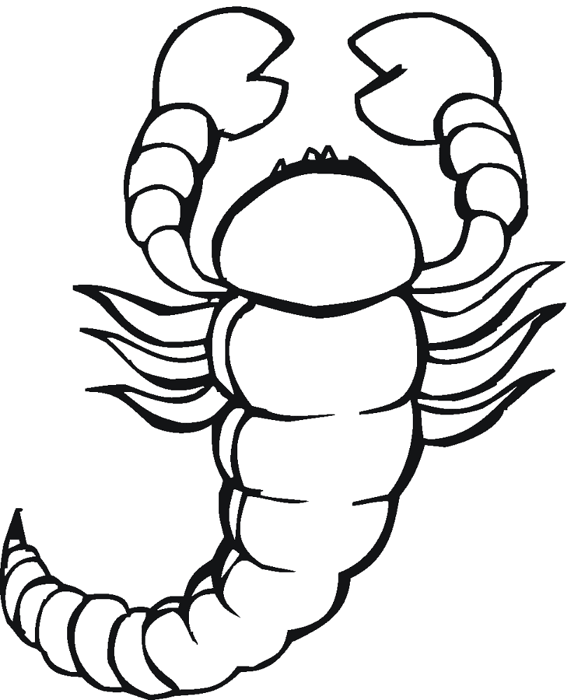 Desenho de Escorpiões para colorir e imprimir: número 28