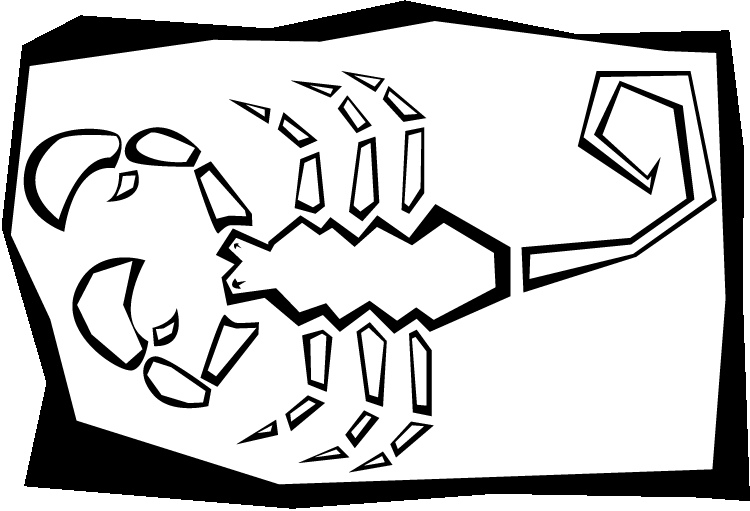 Desenho de Escorpiões para colorir e imprimir: número 30