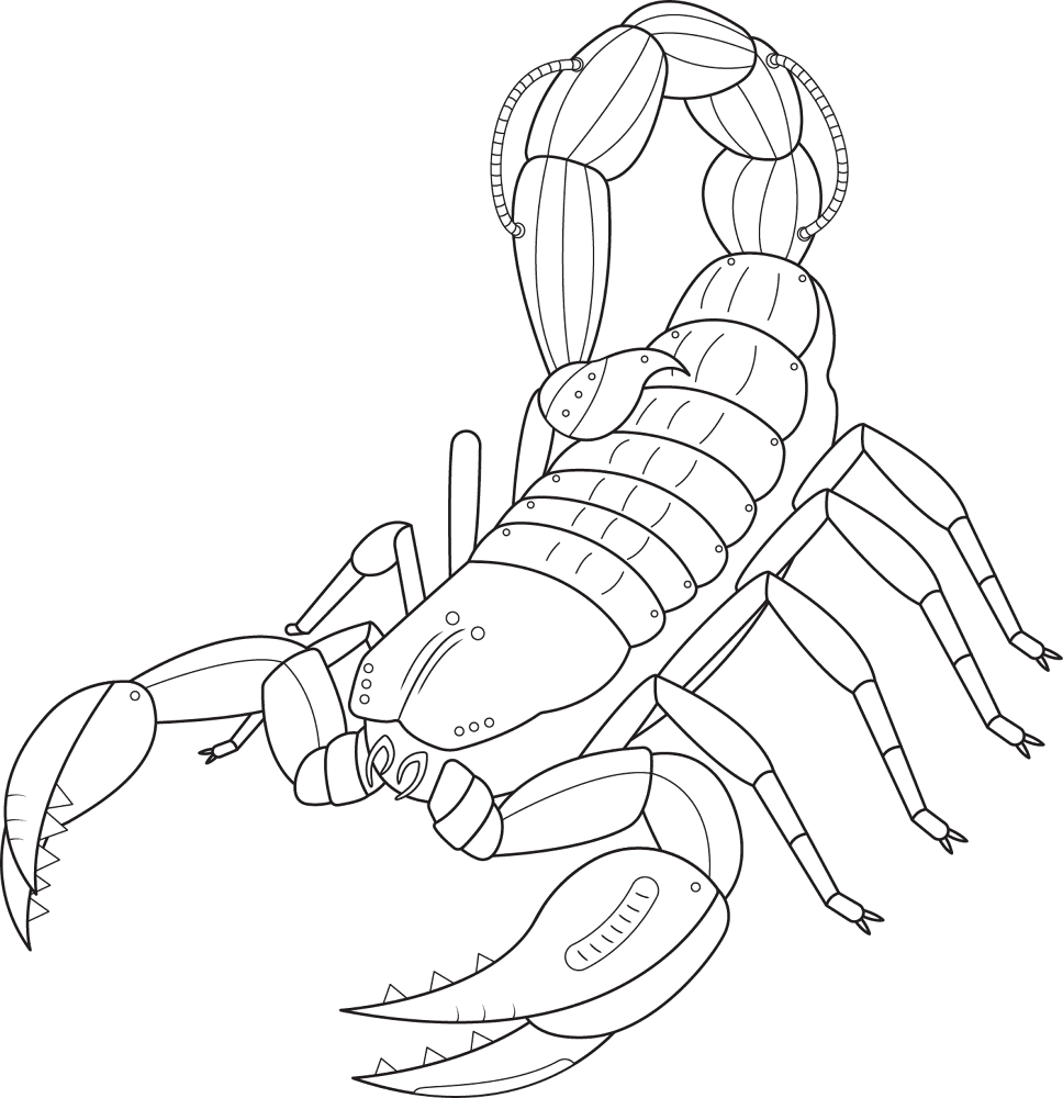 Desenho de Escorpiões para colorir e imprimir: número 34