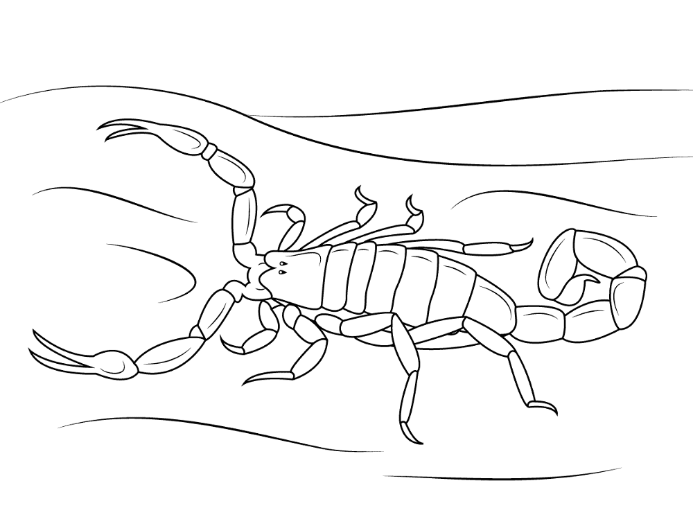 Desenho de Escorpiões para colorir e imprimir: número 35